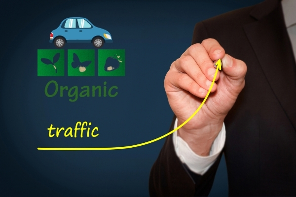 drive Organic Traffic