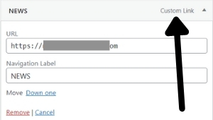 custom link in wordpress