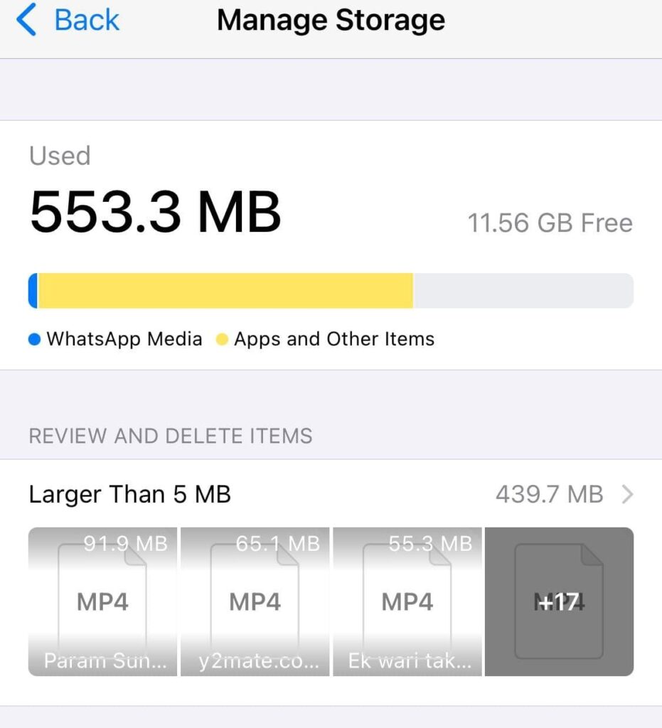 manage WhatsApp storage on an iPhone