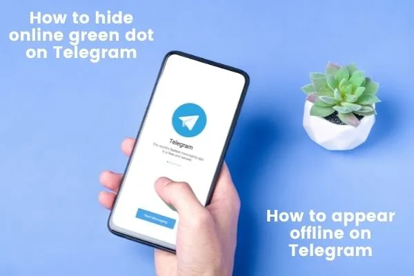 How to hide online green dot on Telegram